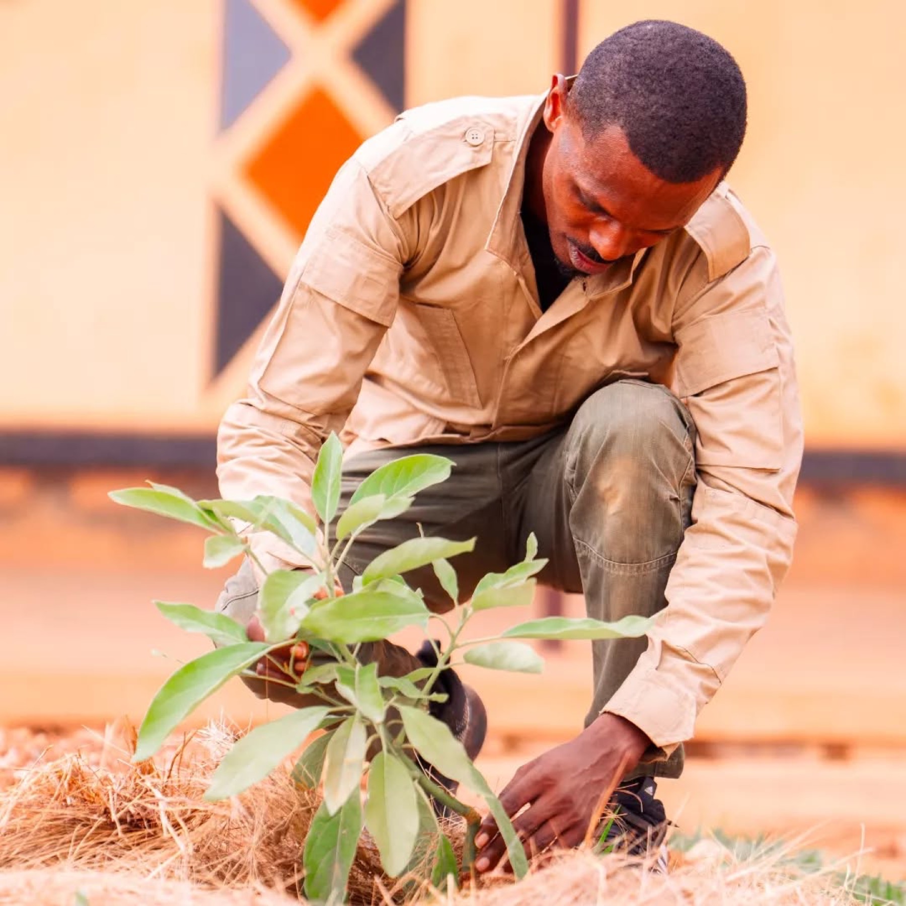 Cyusa Ian Berulo planting a tree